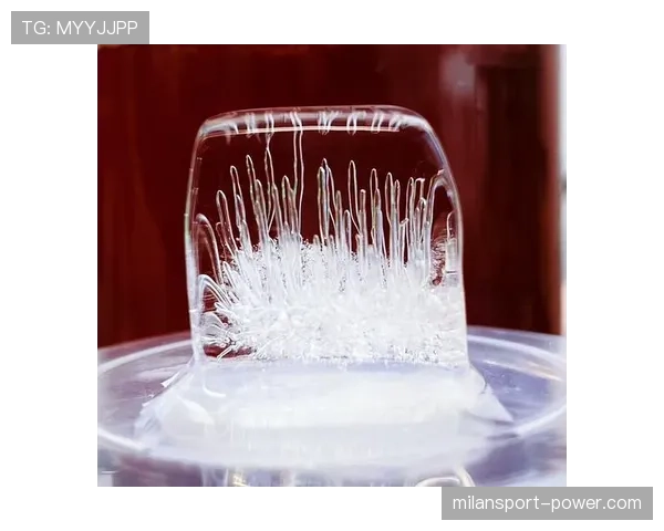 李宗伟家的冰箱里居然塞满冰块，不是用来喝饮料的